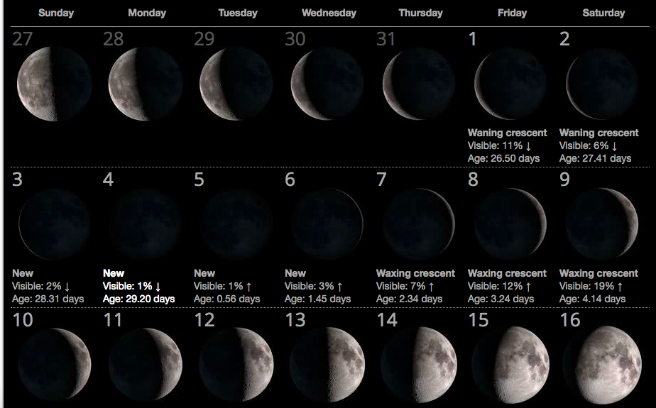 Moon Calendar Explorers